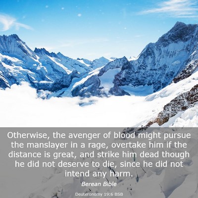 Picture 03 - Deuteronomy 19:6 BSB - Otherwise, the avenger of blood might pursue the - Bible Verse Picture