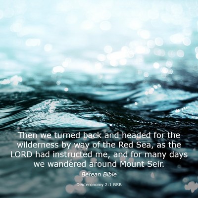 Picture 03 - Deuteronomy 2:1 BSB - Then we turned back and headed for the wilderness - Bible Verse Picture