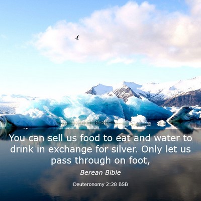 Picture 03 - Deuteronomy 2:28 BSB - You can sell us food to eat and water to drink in - Bible Verse Picture