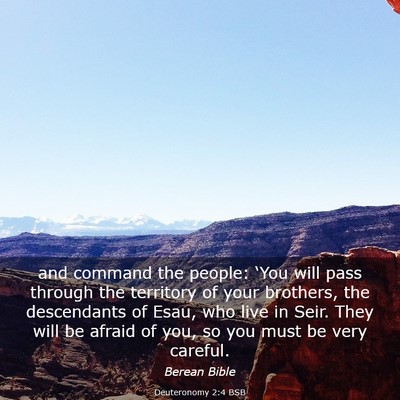 Picture 03 - Deuteronomy 2:4 BSB - and command the people: ‘You will pass through - Bible Verse Picture