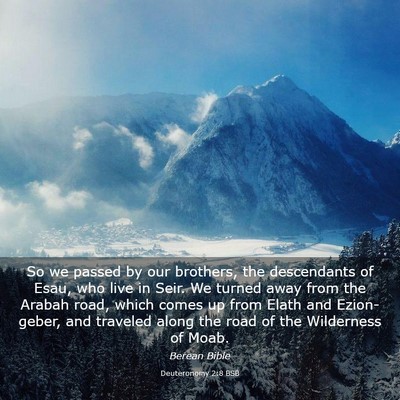 Picture 03 - Deuteronomy 2:8 BSB - So we passed by our brothers, the descendants of - Bible Verse Picture