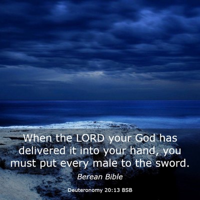 Picture 03 - Deuteronomy 20:13 BSB - When the LORD your God has delivered it into your - Bible Verse Picture