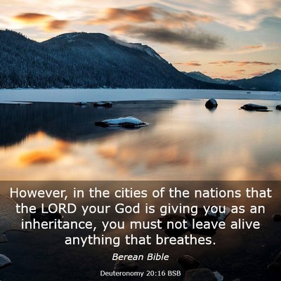Picture 03 - Deuteronomy 20:16 BSB - However, in the cities of the nations that the - Bible Verse Picture