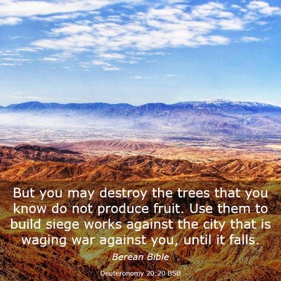 Picture 03 - Deuteronomy 20:20 BSB - But you may destroy the trees that you know do - Bible Verse Picture