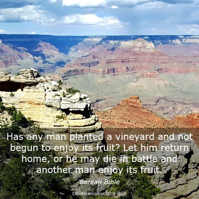 Picture 03 - Deuteronomy 20:6 BSB - Has any man planted a vineyard and not begun to - Bible Verse Picture