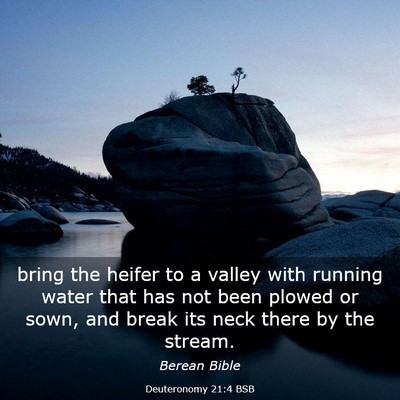 Picture 03 - Deuteronomy 21:4 BSB - bring the heifer to a valley with running water - Bible Verse Picture