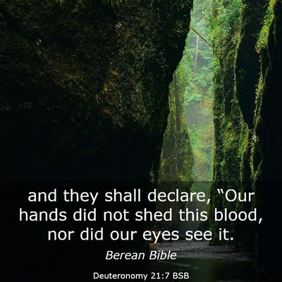 Picture 03 - Deuteronomy 21:7 BSB - and they shall declare, “Our hands did not shed - Bible Verse Picture