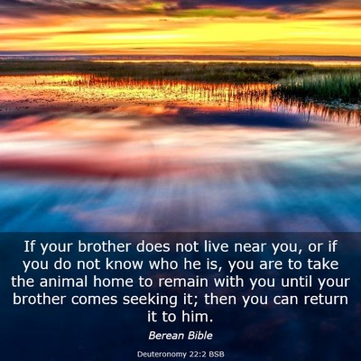 Picture 03 - Deuteronomy 22:2 BSB - If your brother does not live near you, or if you - Bible Verse Picture