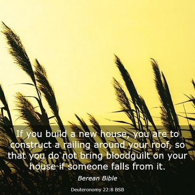Picture 03 - Deuteronomy 22:8 BSB - If you build a new house, you are to construct a - Bible Verse Picture