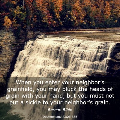 Picture 03 - Deuteronomy 23:25 BSB - When you enter your neighbor’s grainfield, you - Bible Verse Picture