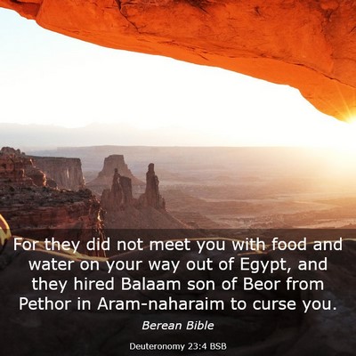 Picture 03 - Deuteronomy 23:4 BSB - For they did not meet you with food and water on - Bible Verse Picture