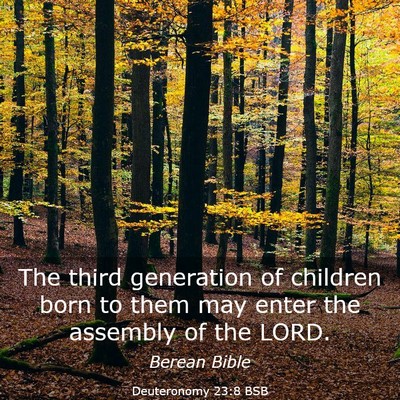 Picture 03 - Deuteronomy 23:8 BSB - The third generation of children born to them may - Bible Verse Picture