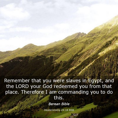 Picture 03 - Deuteronomy 24:18 BSB - Remember that you were slaves in Egypt, and the - Bible Verse Picture