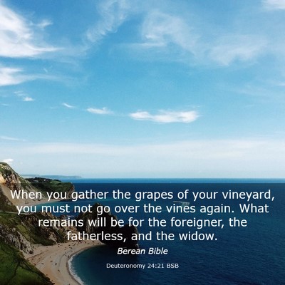 Picture 03 - Deuteronomy 24:21 BSB - When you gather the grapes of your vineyard, you - Bible Verse Picture