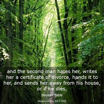 Picture 03 - Deuteronomy 24:3 BSB - and the second man hates her, writes her a - Bible Verse Picture