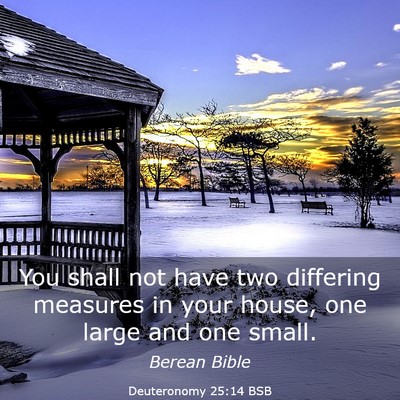 Picture 03 - Deuteronomy 25:14 BSB - You shall not have two differing measures in your - Bible Verse Picture