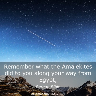 Picture 03 - Deuteronomy 25:17 BSB - Remember what the Amalekites did to you along - Bible Verse Picture