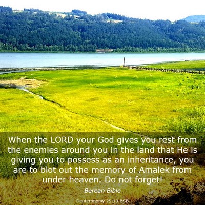 Picture 03 - Deuteronomy 25:19 BSB - When the LORD your God gives you rest from the - Bible Verse Picture