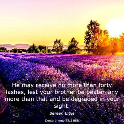 Picture 03 - Deuteronomy 25:3 BSB - He may receive no more than forty lashes, lest - Bible Verse Picture