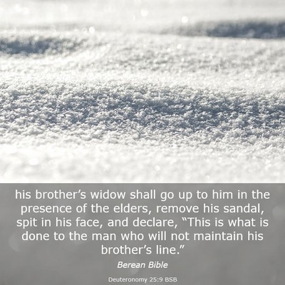 Picture 03 - Deuteronomy 25:9 BSB - his brother’s widow shall go up to him in the - Bible Verse Picture
