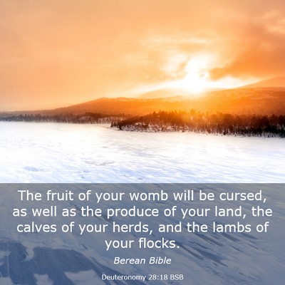 Picture 03 - Deuteronomy 28:18 BSB - The fruit of your womb will be cursed, as well as - Bible Verse Picture
