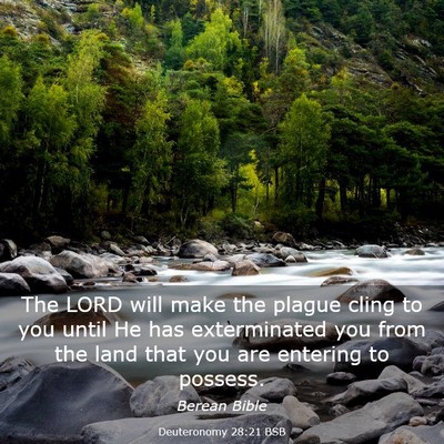 Picture 03 - Deuteronomy 28:21 BSB - The LORD will make the plague cling to you until - Bible Verse Picture