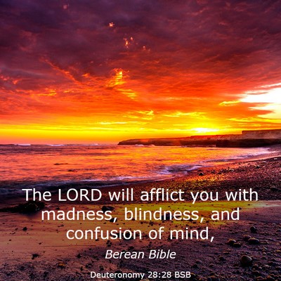 Picture 03 - Deuteronomy 28:28 BSB - The LORD will afflict you with madness, - Bible Verse Picture
