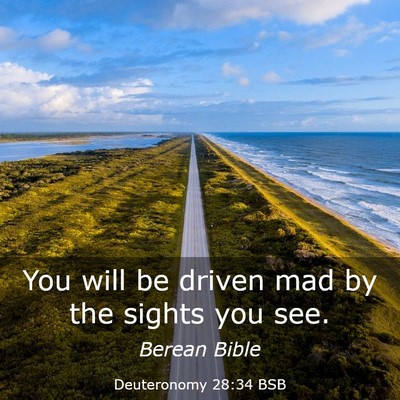 Picture 03 - Deuteronomy 28:34 BSB - You will be driven mad by the sights you - Bible Verse Picture
