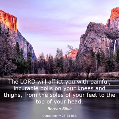 Picture 03 - Deuteronomy 28:35 BSB - The LORD will afflict you with painful, incurable - Bible Verse Picture