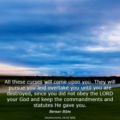 Picture 03 - Deuteronomy 28:45 BSB - All these curses will come upon you. They will - Bible Verse Picture