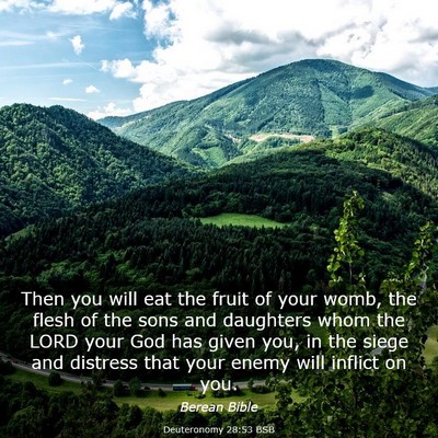Picture 03 - Deuteronomy 28:53 BSB - Then you will eat the fruit of your womb, the - Bible Verse Picture