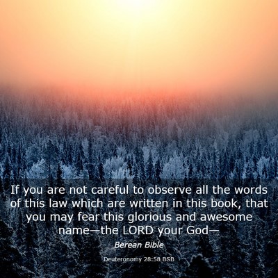 Picture 03 - Deuteronomy 28:58 BSB - If you are not careful to observe all the words - Bible Verse Picture