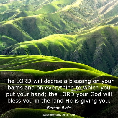 Picture 03 - Deuteronomy 28:8 BSB - The LORD will decree a blessing on your barns and - Bible Verse Picture