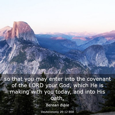 Picture 03 - Deuteronomy 29:12 BSB - so that you may enter into the covenant of the - Bible Verse Picture
