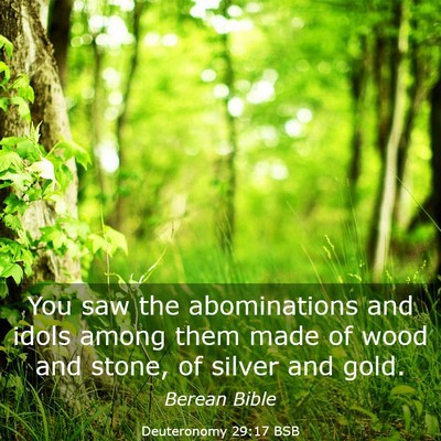 Picture 03 - Deuteronomy 29:17 BSB - You saw the abominations and idols among them - Bible Verse Picture