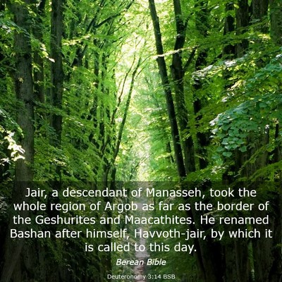 Picture 03 - Deuteronomy 3:14 BSB - Jair, a descendant of Manasseh, took the whole - Bible Verse Picture