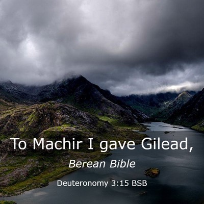 Picture 03 - Deuteronomy 3:15 BSB - To Machir I gave - Bible Verse Picture