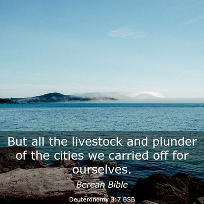 Picture 03 - Deuteronomy 3:7 BSB - But all the livestock and plunder of the cities - Bible Verse Picture