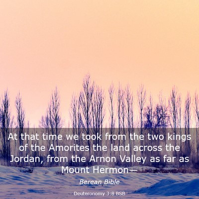 Picture 03 - Deuteronomy 3:8 BSB - At that time we took from the two kings of the - Bible Verse Picture