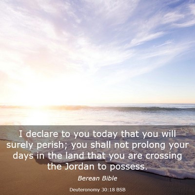 Picture 03 - Deuteronomy 30:18 BSB - I declare to you today that you will surely - Bible Verse Picture