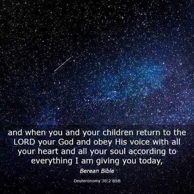 Picture 03 - Deuteronomy 30:2 BSB - and when you and your children return to the LORD - Bible Verse Picture