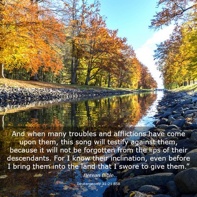 Picture 03 - Deuteronomy 31:21 BSB - And when many troubles and afflictions have come - Bible Verse Picture