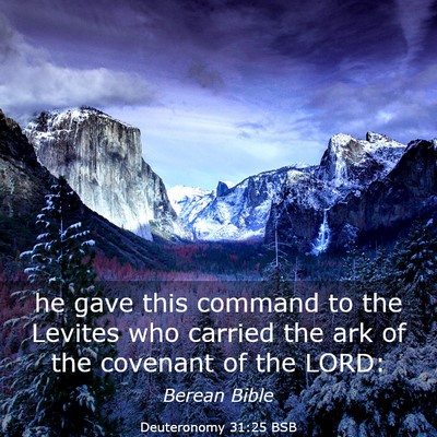Picture 03 - Deuteronomy 31:25 BSB - he gave this command to the Levites who carried - Bible Verse Picture