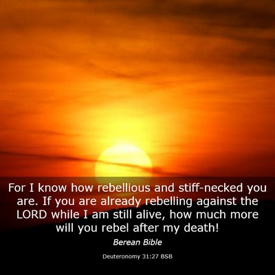 Picture 03 - Deuteronomy 31:27 BSB - For I know how rebellious and stiff-necked you - Bible Verse Picture