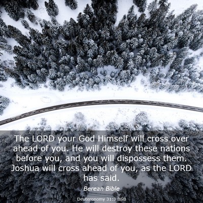Picture 03 - Deuteronomy 31:3 BSB - The LORD your God Himself will cross over ahead - Bible Verse Picture