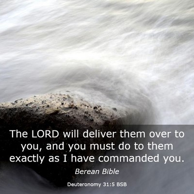 Picture 03 - Deuteronomy 31:5 BSB - The LORD will deliver them over to you, and you - Bible Verse Picture