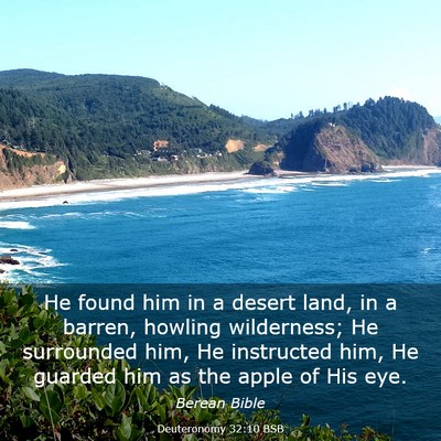 Picture 03 - Deuteronomy 32:10 BSB - He found him in a desert land, in a barren, - Bible Verse Picture