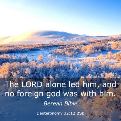 Picture 03 - Deuteronomy 32:12 BSB - The LORD alone led him, and no foreign god was - Bible Verse Picture