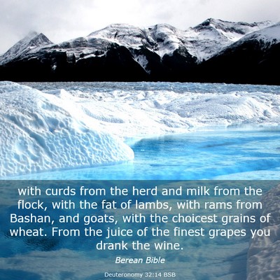 Picture 03 - Deuteronomy 32:14 BSB - with curds from the herd and milk from the flock, - Bible Verse Picture