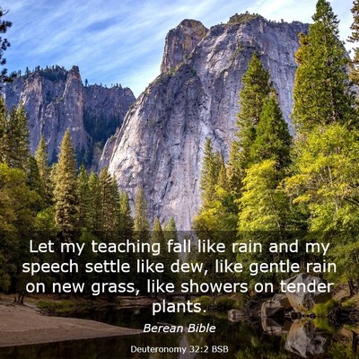 Picture 03 - Deuteronomy 32:2 BSB - Let my teaching fall like rain and my speech - Bible Verse Picture